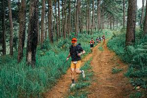 BIB: 
                            <button type="button" onclick="openModal(25663673)" class="btn btn-primary btn-sm float-right btn-popup" data-toggle="modal" data-target=".modal-high-quality">
                        <i class="fas fa-shopping-cart"></i> Add to Cart
                    </button>
                                            <button type="button" onclick="isThisMe(25663673, true)" class="btn btn-success btn-sm float-right btn-popup btn-isme hidden" data-toggle="tooltip" data-placement="bottom" title="นี่คือรูปของคุณใช่ไหม คลิกที่นี่เพื่อเอาเข้าอัลบั้ม">
                        <i class="fas fa-plus"></i> Add to album
                    </button>
                    <button type="button" onclick="isThisMe(25663673, false)" class="btn btn-warning btn-sm float-right btn-popup btn-isnotme hidden">
                        <i class="fas fa-ban"></i> Remove from album
                    </button>